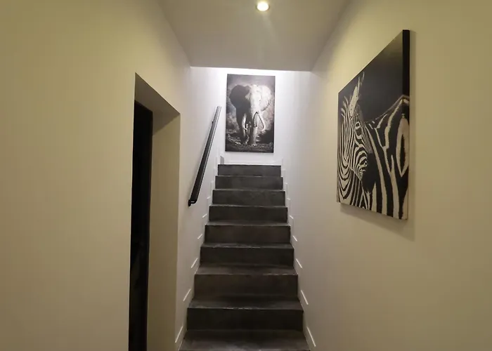 Afrobohome, Experience Atypique, Clim, 2 A 6 Personnes, Proche Centre Nimes, Garage Clos